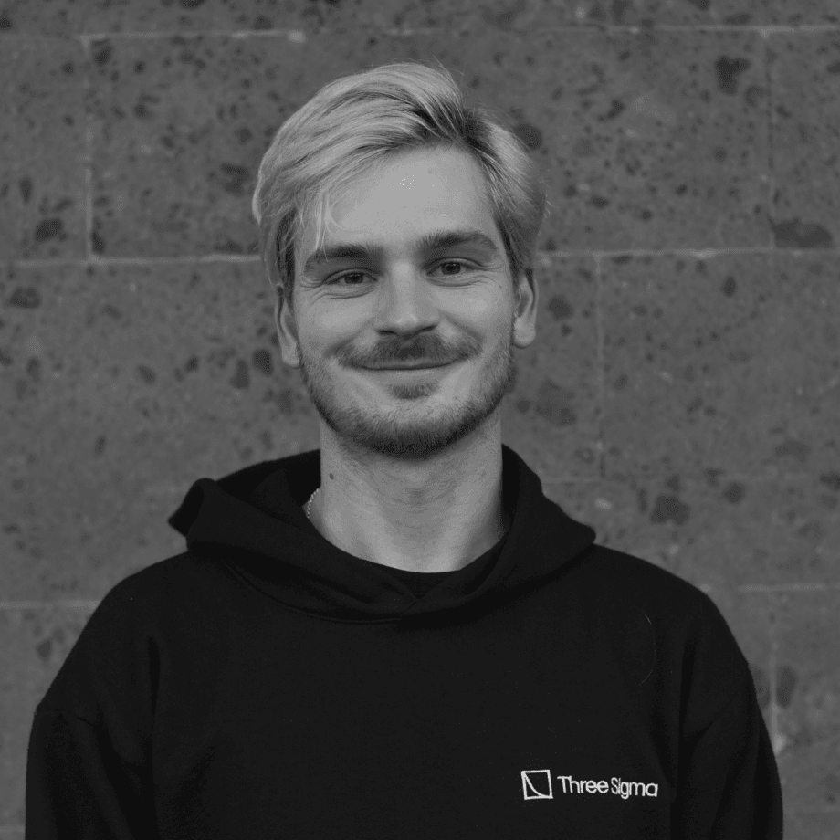 Tomás Thor Palmeirim